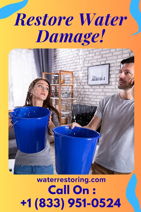 water restoration Reliable Damage Recovery Team Pigeon Forge