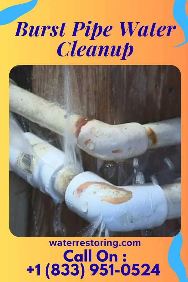 Burst Pipe Water Cleanup in Pigeon Forge, TN