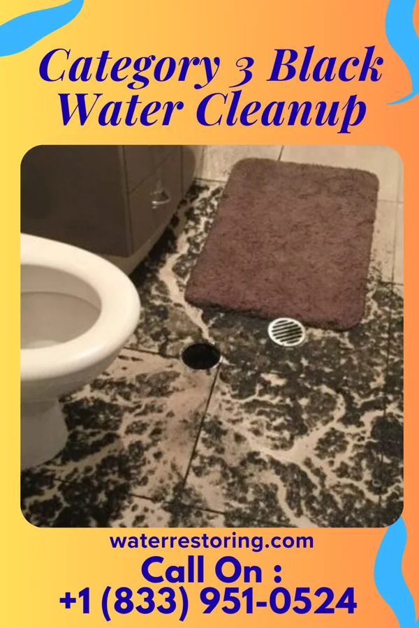 Category 3 Black Water Cleanup in Pigeon Forge, TN