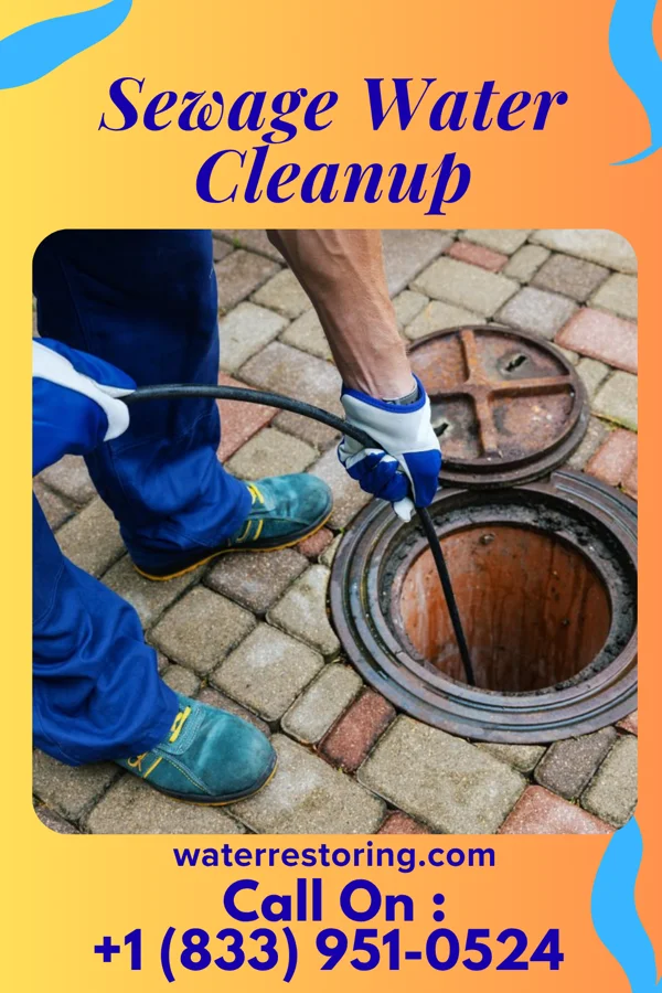 Sewage Water Cleanup in Pigeon Forge, TN