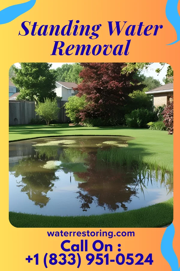 Standing Water Removal in Pigeon Forge, TN